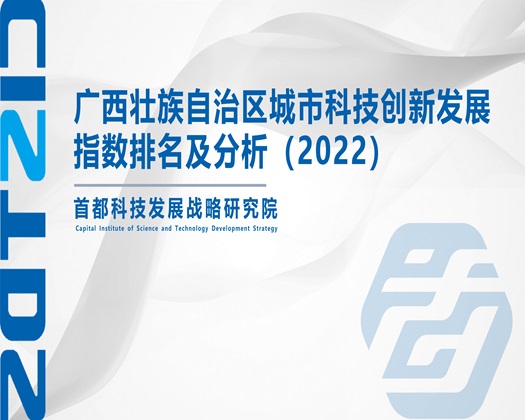 搞小穴网站【成果发布】广西壮族自治区城市科技创新发展指数排名及分析（2022）